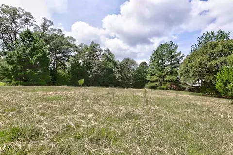 517 Highway 49, Flora, MS 39071 photo 5