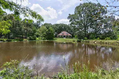 517 Highway 49, Flora, MS 39071 photo 3