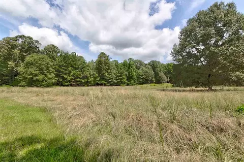 517 Highway 49, Flora, MS 39071 photo 11