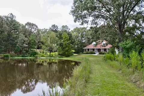 517 Highway 49, Flora, MS 39071 photo 15