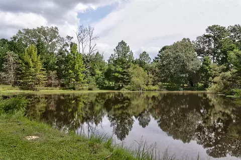 517 Highway 49, Flora, MS 39071 photo 14