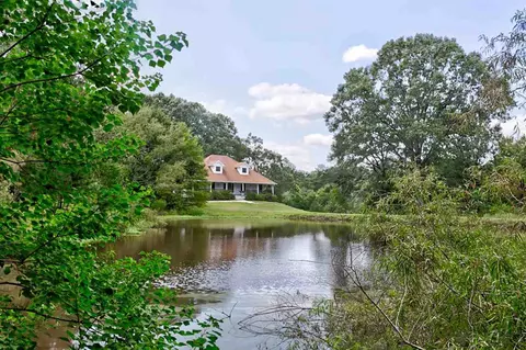 517 Highway 49, Flora, MS 39071 photo 4