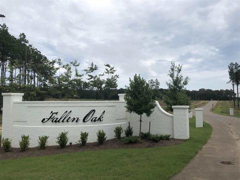 161 Fallen Oak Dr, Brandon, MS 39047 photo 1