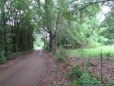 Hawkins Road, Canton, MS 39046 photo 3