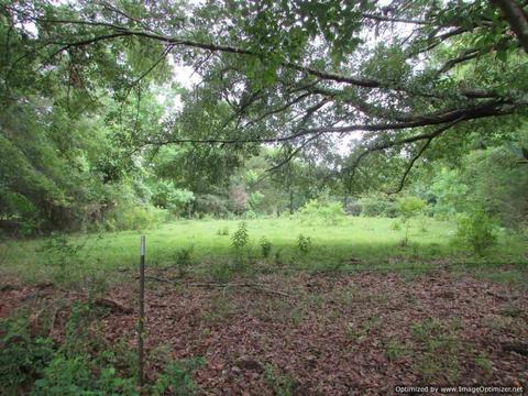 Hawkins Road, Canton, MS 39046 photo 2