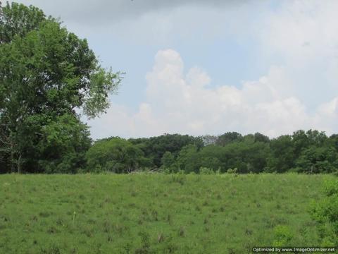 Hawkins Road, Canton, MS 39046 photo 6