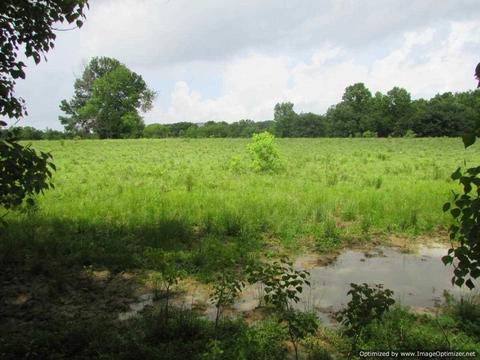Hawkins Road, Canton, MS 39046 photo 8