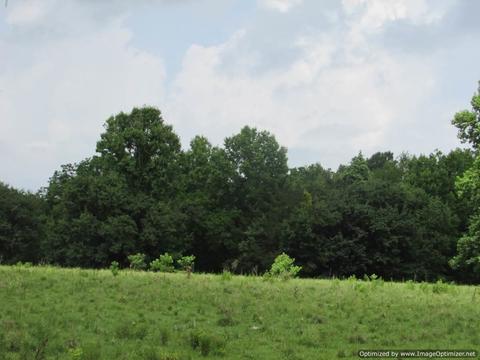 Hawkins Road, Canton, MS 39046 photo 5