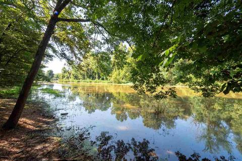 211 E Lake Dr, Brandon, MS 39047 photo 47