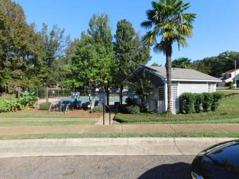 110 Lofty Pine Ln, Clinton, MS 39056 photo 19
