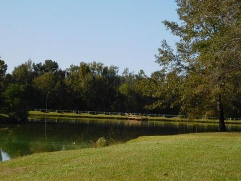 110 Lofty Pine Ln, Clinton, MS 39056 photo 21