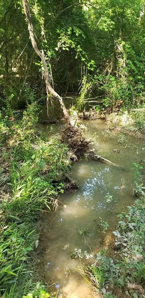 1060 Johnston Chapel Rd, Summit, MS 39666 photo 38
