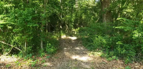 1060 Johnston Chapel Rd, Summit, MS 39666 photo 22