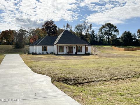320 Driftwood Ln, Florence, MS 39073 photo 1