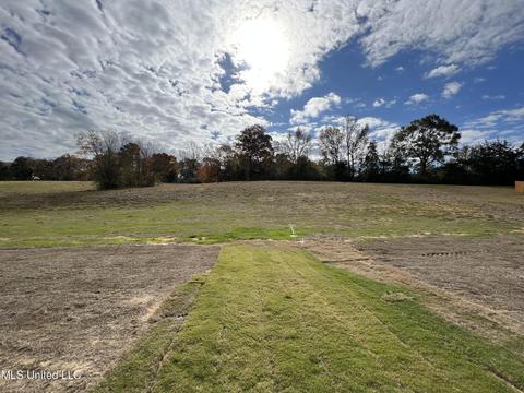320 Driftwood Ln, Florence, MS 39073 photo 3