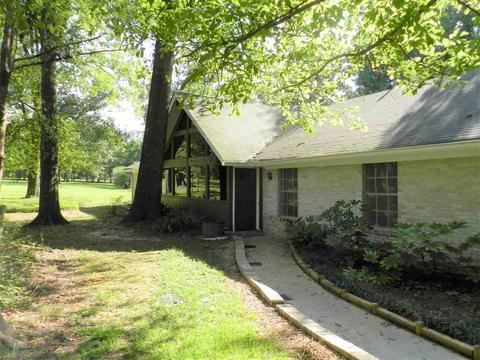 119 Arrowhead Trl, Brandon, MS 39047 photo 4