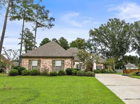 103 Serenity Way, Madison, MS 39110 photo 3