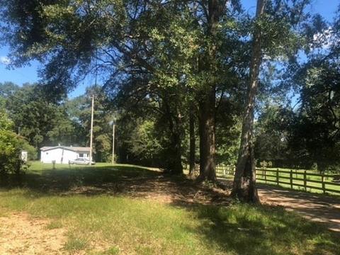 126 Pugh Rd, Flora, MS 39071 photo 14