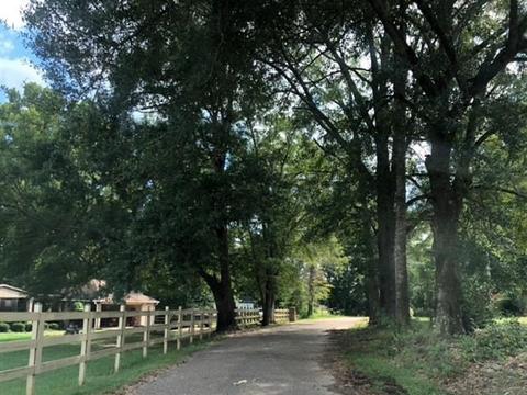 126 Pugh Rd, Flora, MS 39071 photo 16