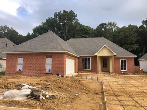166 Shore View Dr, Madison, MS 39110 photo 1