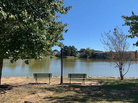 220 Park Lane Pl, Jackson, MS 39211 photo 30