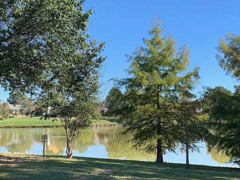 220 Park Lane Pl, Jackson, MS 39211 photo 34
