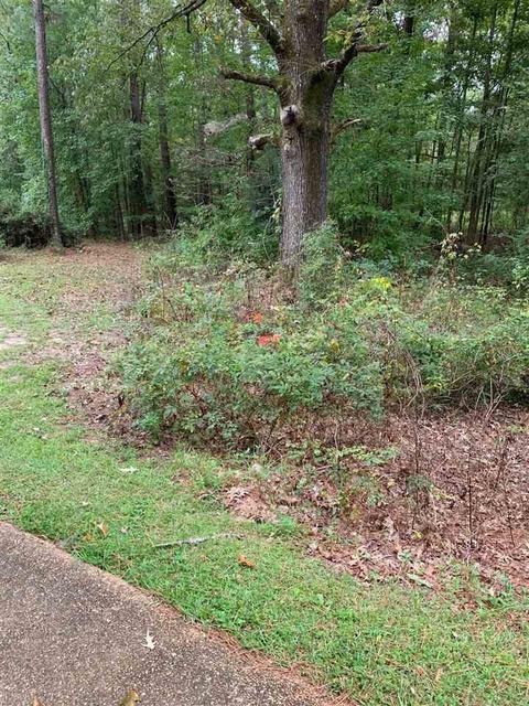 2870 Wells Rd, Raymond, MS 39154 photo 5