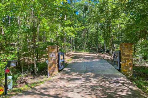 484 Chapel Hill Rd, Flora, MS 39071 photo 3