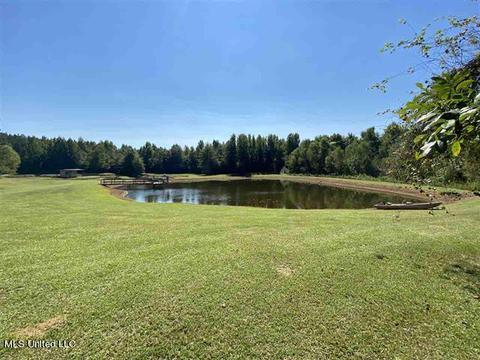 6550 Attala County Rd 4002 Rd, Goodman, MS 39079 photo 33