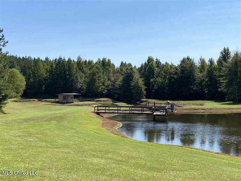 6550 Attala County Rd 4002 Rd, Goodman, MS 39079 photo 34