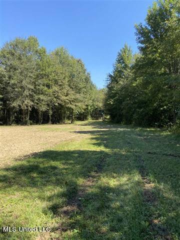 6550 Attala County Rd 4002 Rd, Goodman, MS 39079 photo 38