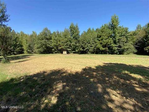 6550 Attala County Rd 4002 Rd, Goodman, MS 39079 photo 40
