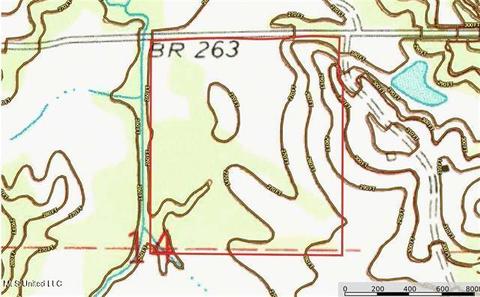 6550 Attala County Rd 4002 Rd, Goodman, MS 39079 photo 43