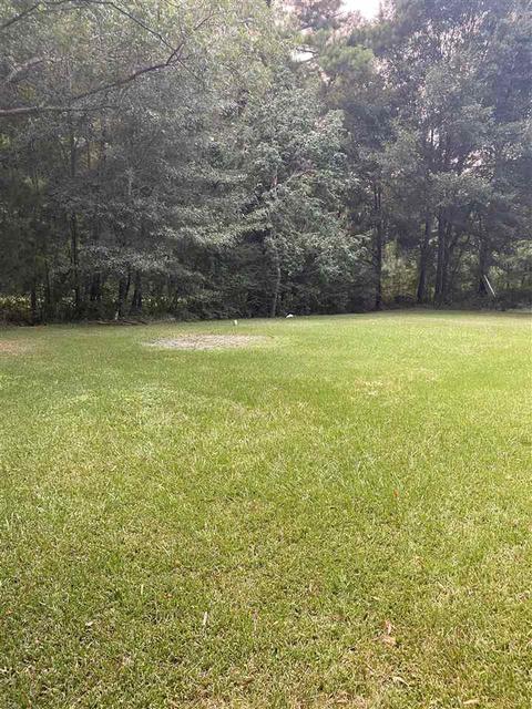 105 Westview Dr, Brandon, MS 39047 photo 2