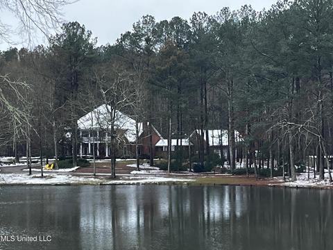 1352 Gulde Shiloh Rd, Brandon, MS 39042 photo 48