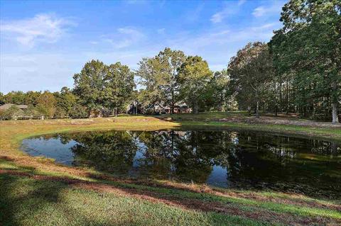 121 Evergreen Dr, Brandon, MS 39042 photo 23