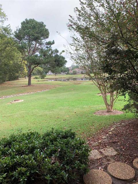 119 Greens View Dr, Madison, MS 39110 photo 3