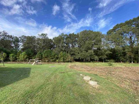 227 Old Pinola Braxton Rd, Braxton, MS 39044 photo 29