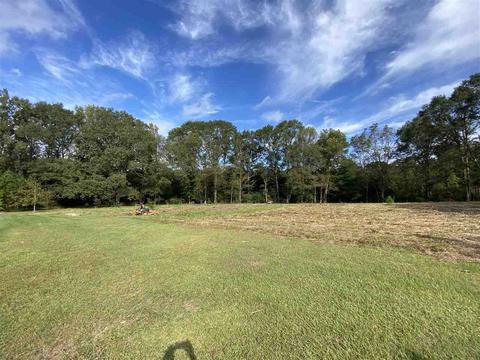 227 Old Pinola Braxton Rd, Braxton, MS 39044 photo 28