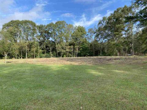 227 Old Pinola Braxton Rd, Braxton, MS 39044 photo 25
