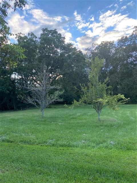 1064 E Gallman Rd, Hazlehurst, MS 39083 photo 23
