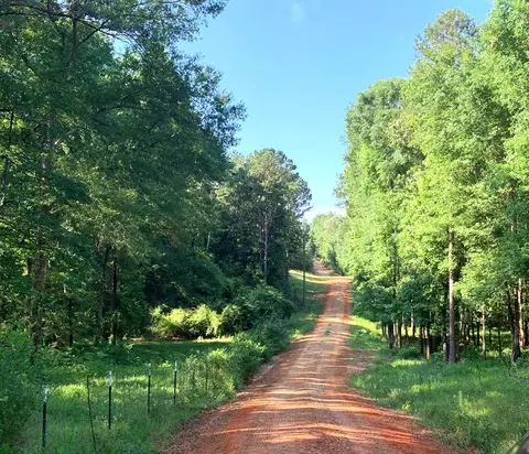 2039 Hwy 44 NE, Summit, MS 39666 photo 45