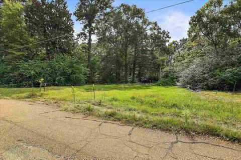 321 Fernwood Dr, Jackson, MS 39206 photo 41