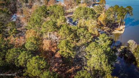 905 Audubon Point Dr, Brandon, MS 39047 photo 54