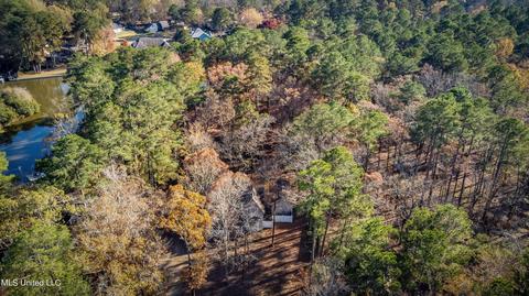 905 Audubon Point Dr, Brandon, MS 39047 photo 56