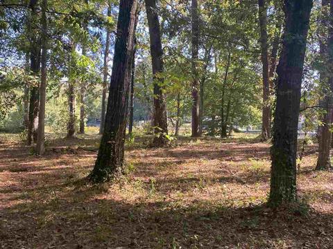 905 Audubon Point Dr, Brandon, MS 39047 photo 50