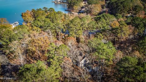 905 Audubon Point Dr, Brandon, MS 39047 photo 57