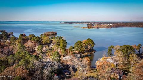905 Audubon Point Dr, Brandon, MS 39047 photo 2