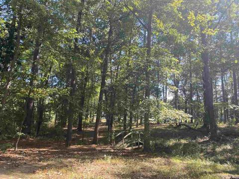 905 Audubon Point Dr, Brandon, MS 39047 photo 47
