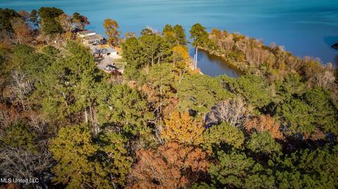 905 Audubon Point Dr, Brandon, MS 39047 photo 55